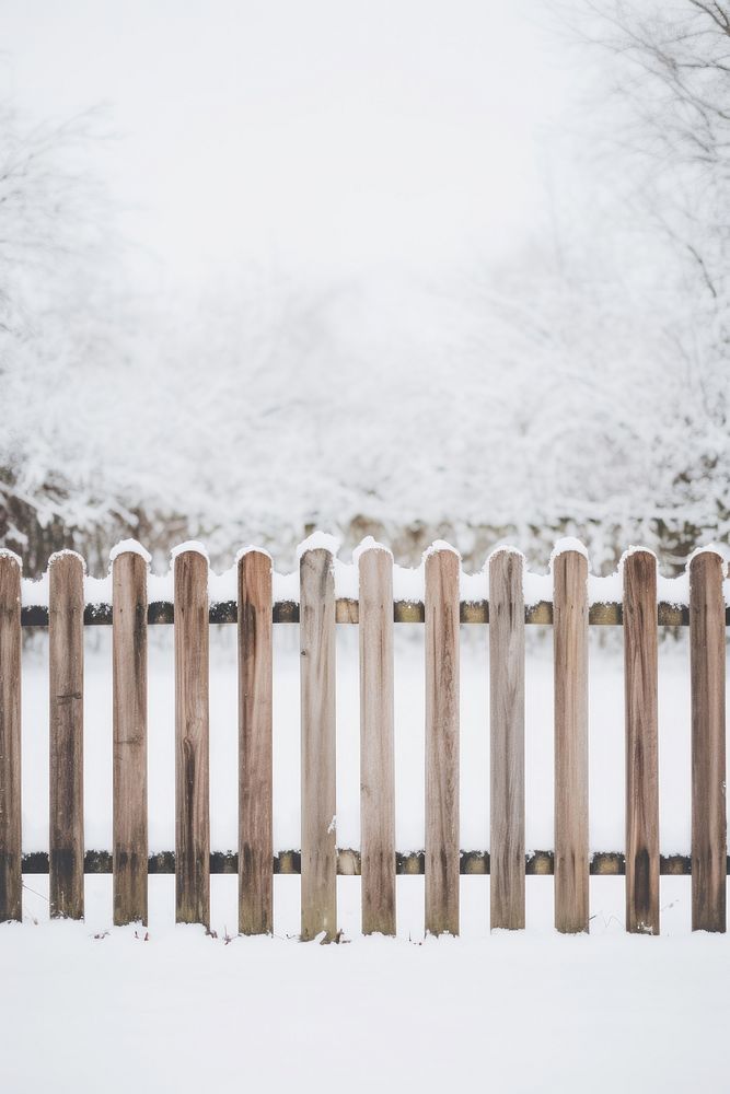 Outdoors nature fence white. 