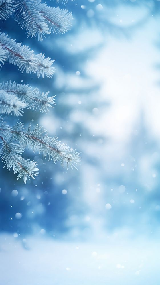 Pine tree snow backgrounds snowflake. AI generated Image by rawpixel.