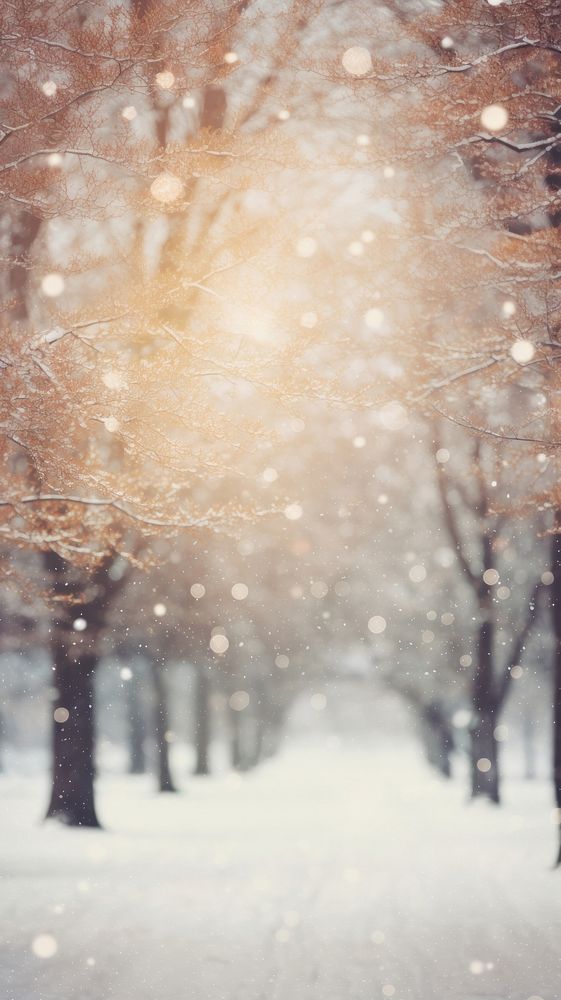 Snow tree backgrounds snowflake