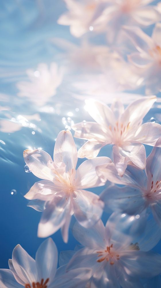 Flower petal outdoors blossom. AI generated Image by rawpixel.