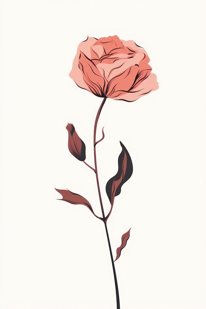 Drawing flower rose sketch. 