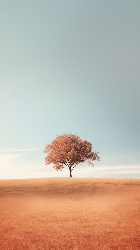 Tree sunlight outdoors horizon. AI generated Image by rawpixel.