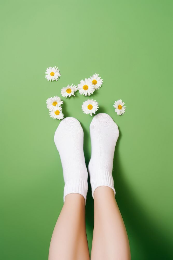 Flower sock plant daisy. AI generated Image by rawpixel.