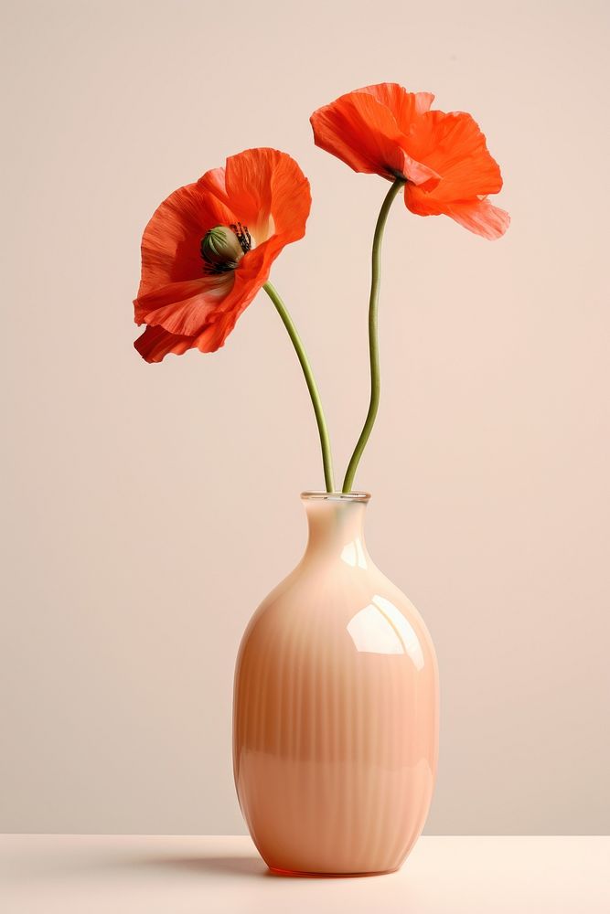 Vase flower poppy plant. AI generated Image by rawpixel.