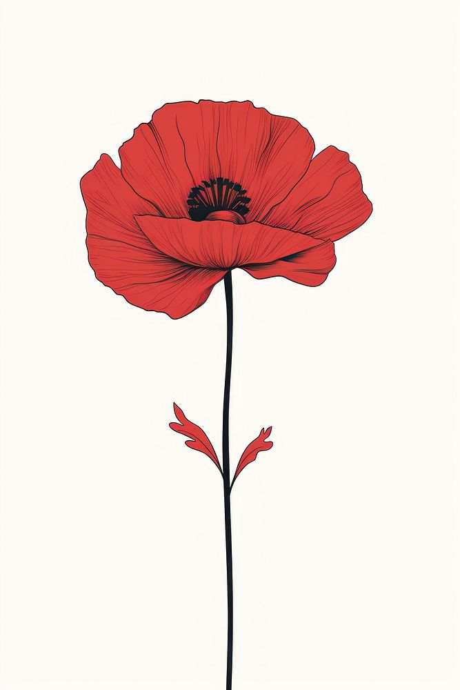 Flower poppy drawing plant. AI generated Image by rawpixel.