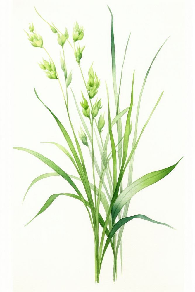 Grass flower plant food. AI generated Image by rawpixel.