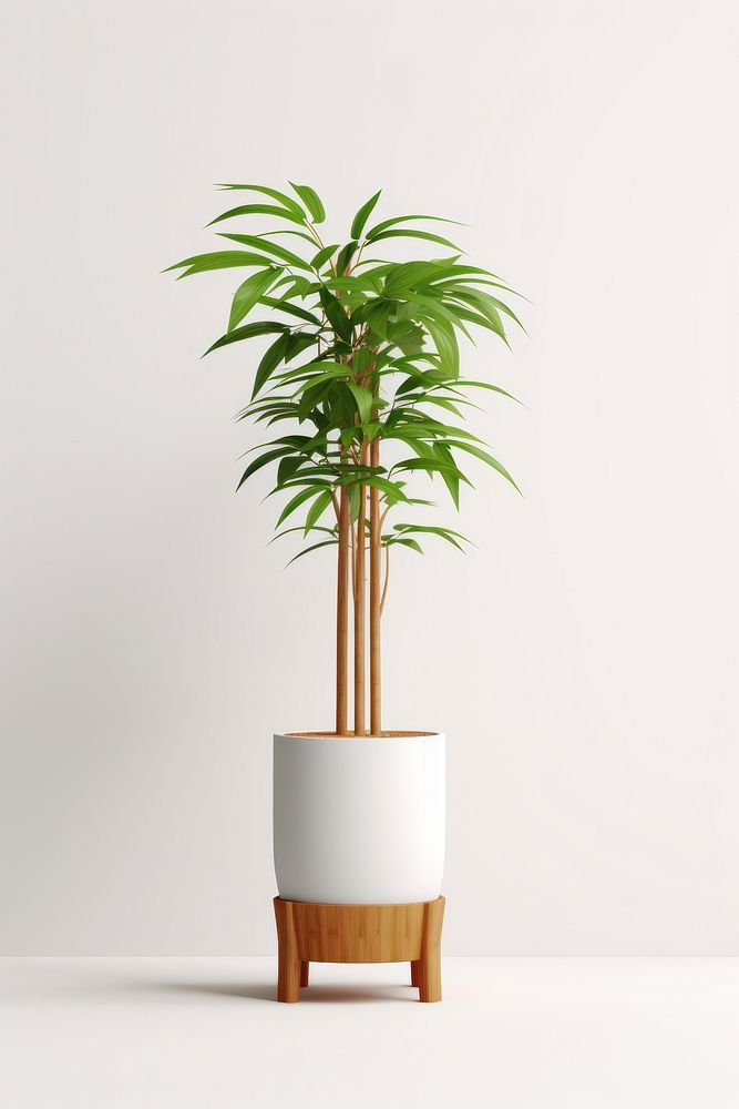 Plant lighting vase leaf. 