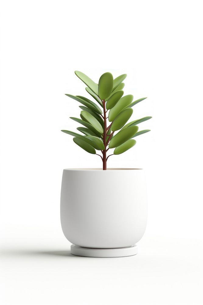 Plant vase leaf white background. AI generated Image by rawpixel.