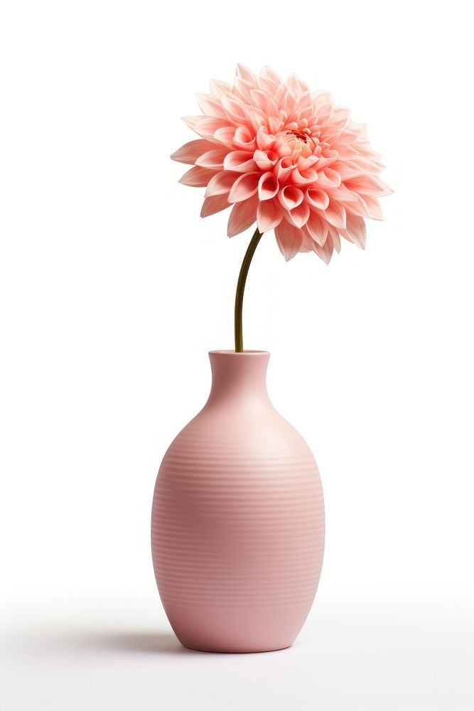 Ceramic vase flower dahlia plant. AI generated Image by rawpixel.