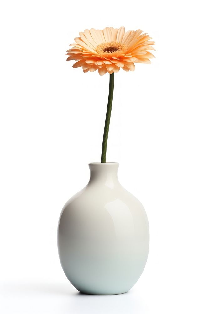 Ceramic vase flower plant daisy. AI generated Image by rawpixel.