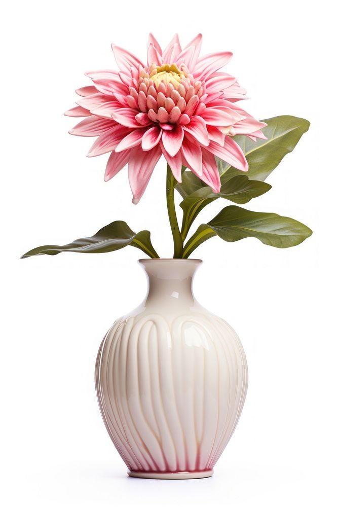 Ceramic vase flower dahlia plant. AI generated Image by rawpixel.