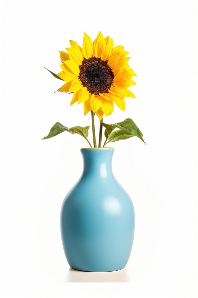 Blue ceramic vase sunflower plant white background. AI generated Image by rawpixel.