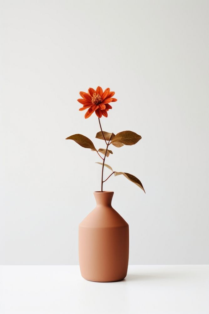 Clay vase flower plant houseplant. AI generated Image by rawpixel.