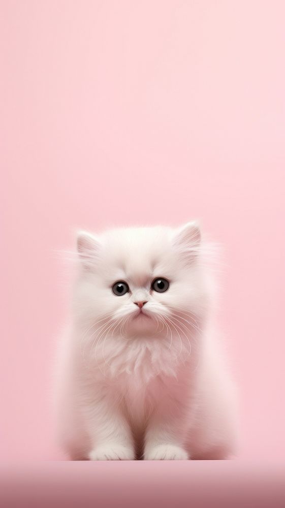Cartoon Fluffy Baby Kitten With Big Eyes And A Pink Flower, Illustration  Stock Photo, Picture and Royalty Free Image. Image 192607813.