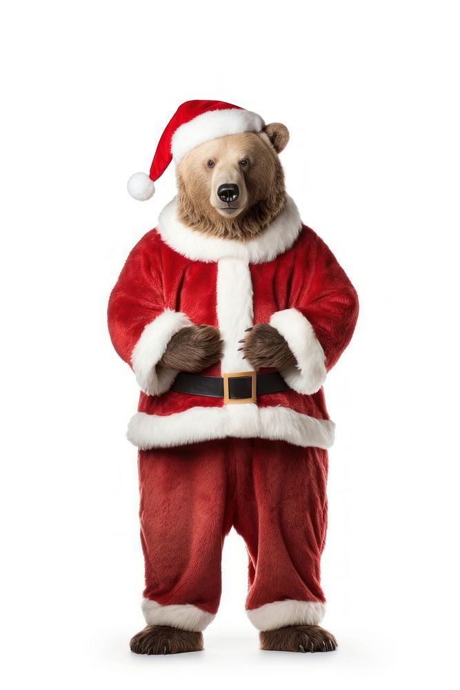 Costume bear christmas standing. AI generated Image by rawpixel.
