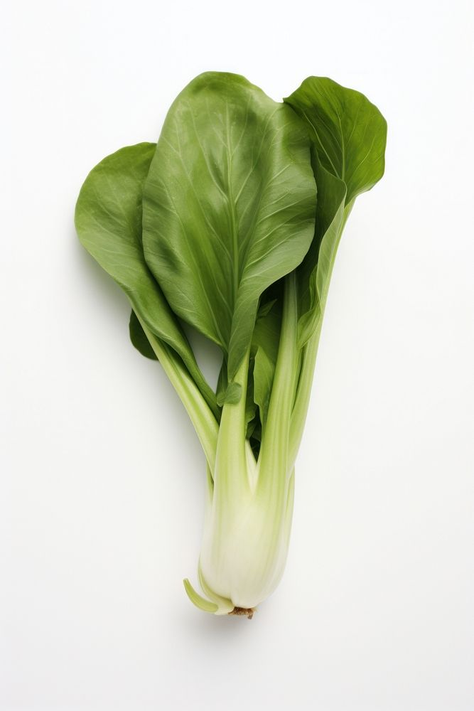 Vegetable plant food herb. AI generated Image by rawpixel.