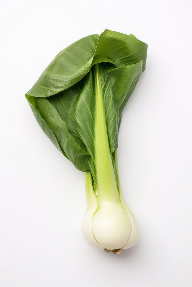 Vegetable plant food white background. AI generated Image by rawpixel.
