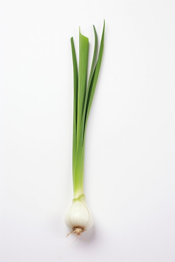 Garlic plant green food. AI generated Image by rawpixel.