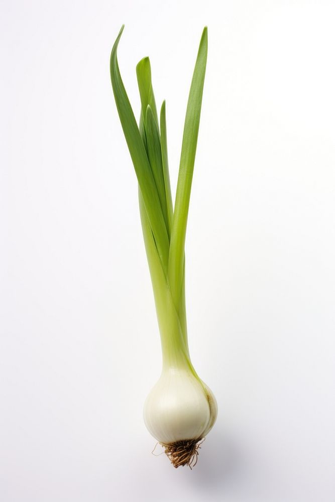 Plant green food white background. AI generated Image by rawpixel.