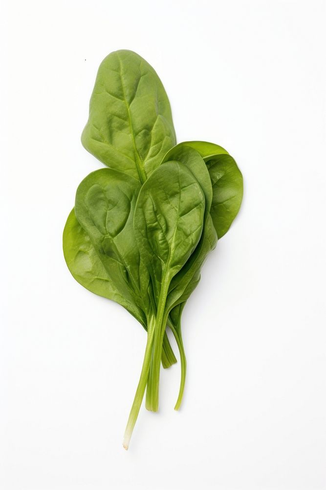 Spinach vegetable plant food. AI generated Image by rawpixel.