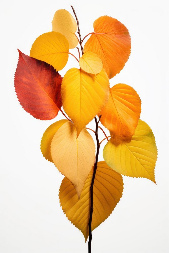 Leaves plant leaf tree. AI generated Image by rawpixel.