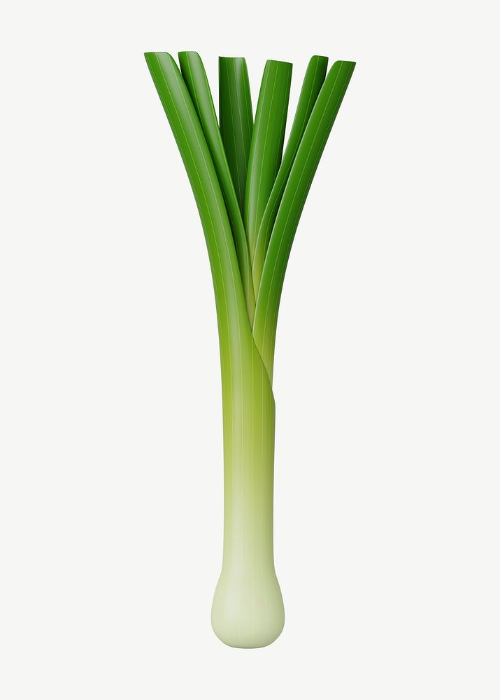 3D spring onion vegetable, collage element psd
