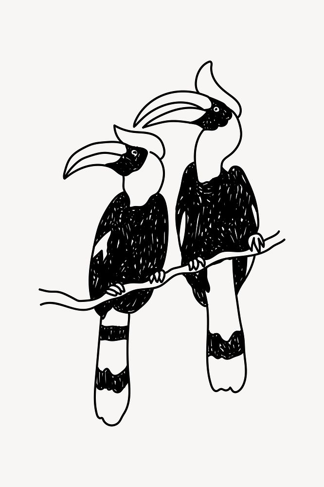 Toucan bird wildlife hand drawn illustration vector
