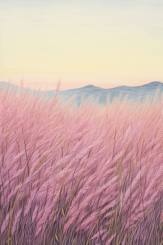 Landscape grass field outdoors horizon nature. 