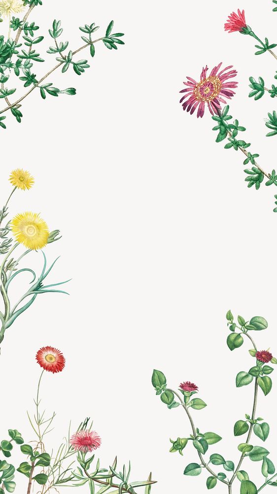 Colorful spring flowers iPhone wallpaper, off-white border background