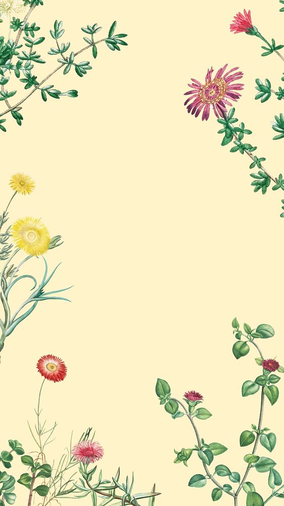 Colorful spring flowers iPhone wallpaper, beige border background