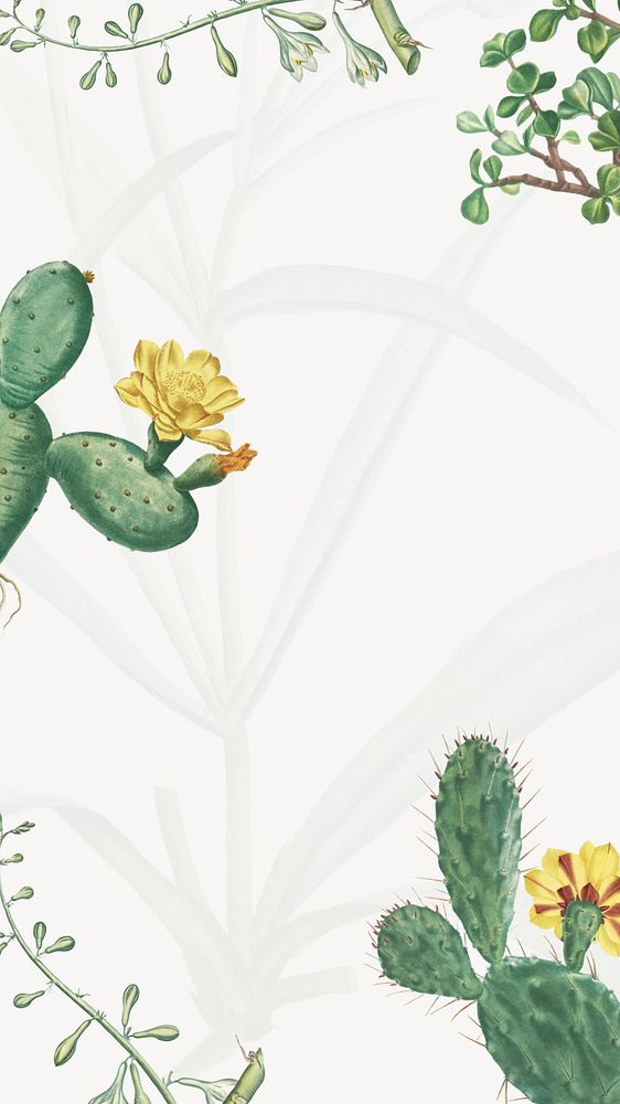 Tropical cactus floral iPhone wallpaper, vintage botanical background