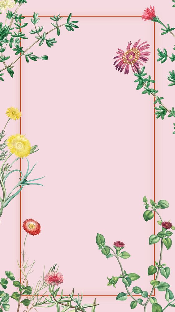 Colorful spring flowers iPhone wallpaper, pink frame background