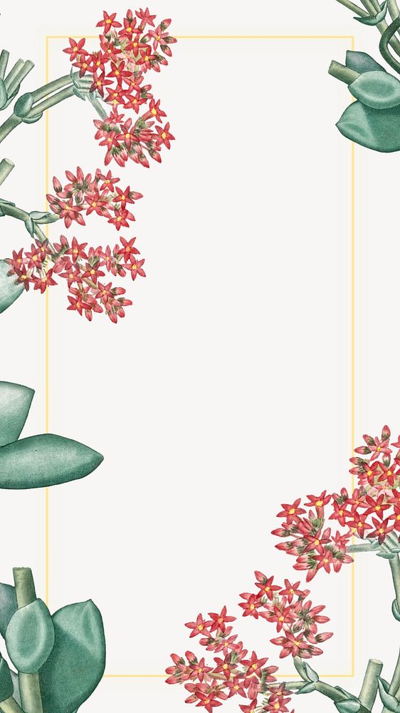 Off-white Ixora flower mobile wallpaper, vintage botanical frame