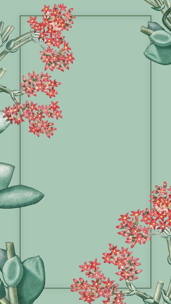 Green Ixora flower mobile wallpaper, vintage botanical frame