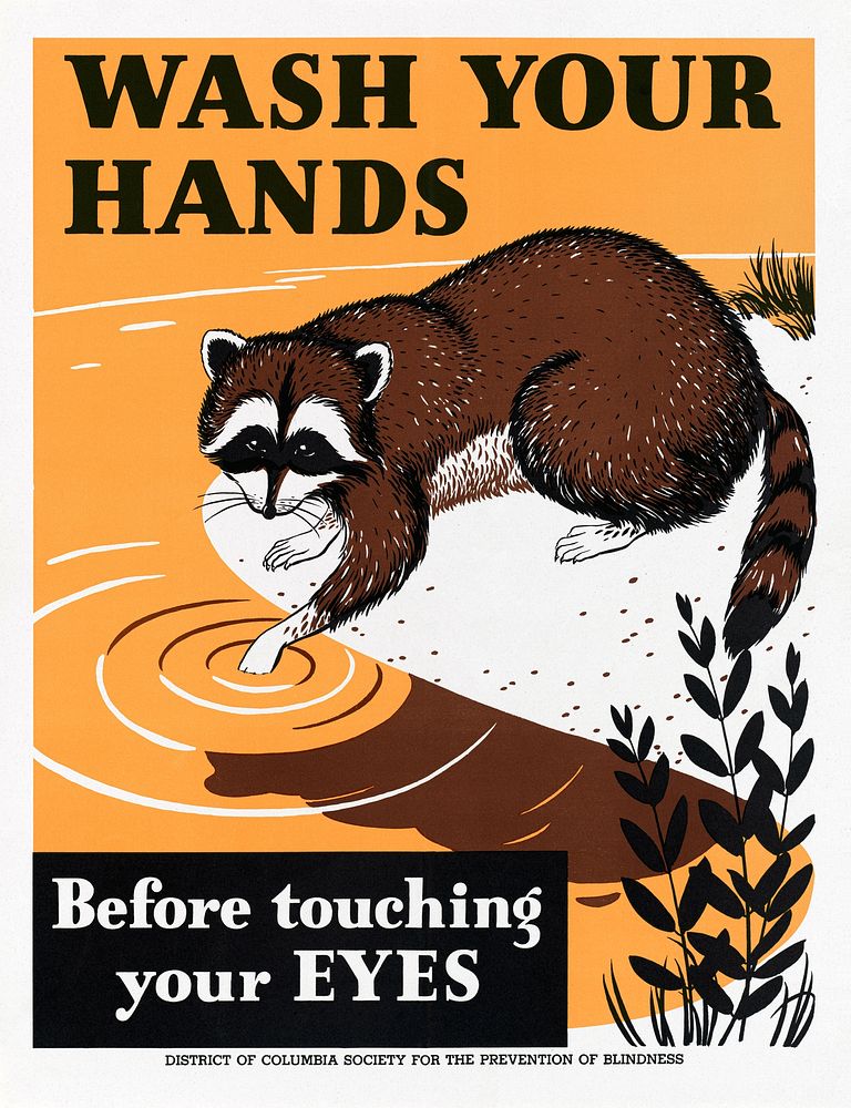 "Wash your hands before touching your eyes" (1941-1945), vintage raccoon poster illustration. Original public domain image…
