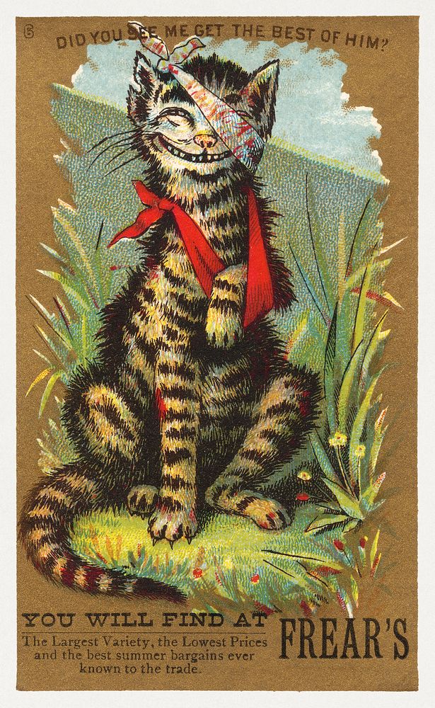 Did you see me get the best of him? You will find at Frear's (1881), injured cat vintage illustration. Original public…