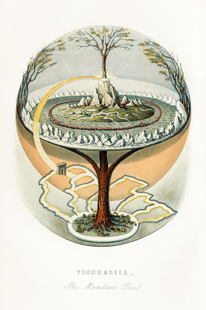Yggdrasill, the mundane tree (1859) vintage Norse mythology illustration by Finnur Magnússon. Original public domain image…