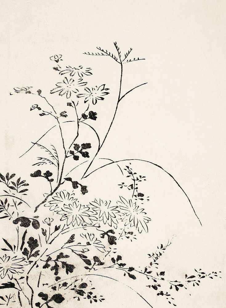 Autumn Flowers and Grasses (1762), vintage botanical illustration by Miyazaki Yuzen. Original public domain image from The…