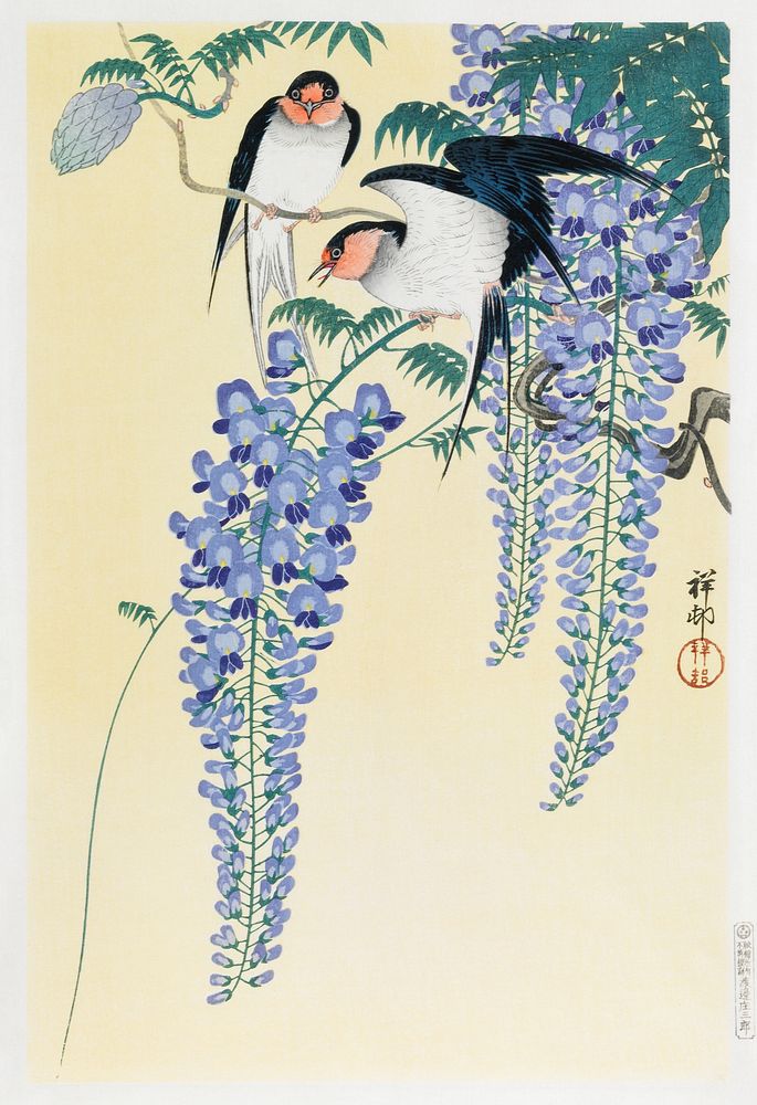 Ohara Koson's Swallows and Wisteria (1926), Japanese bird illustration. Original public domain image from the Saint Louis…