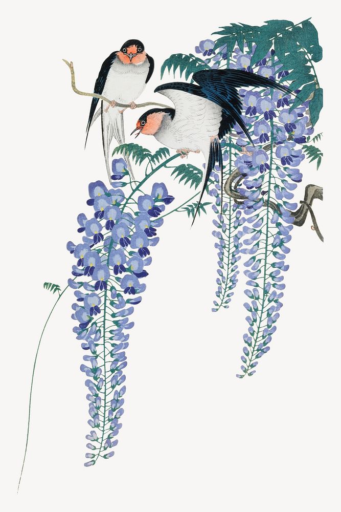Ohara Koson's Swallows and Wisteria, Japanese bird illustration. Remixed by rawpixel.