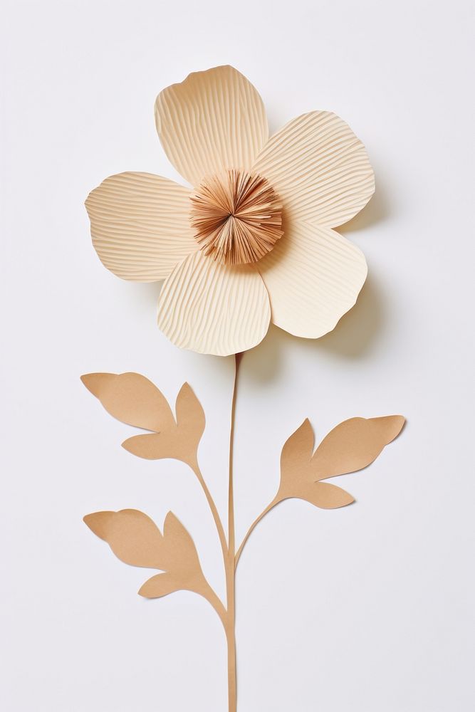 Flower plant art white background. AI generated Image by rawpixel.