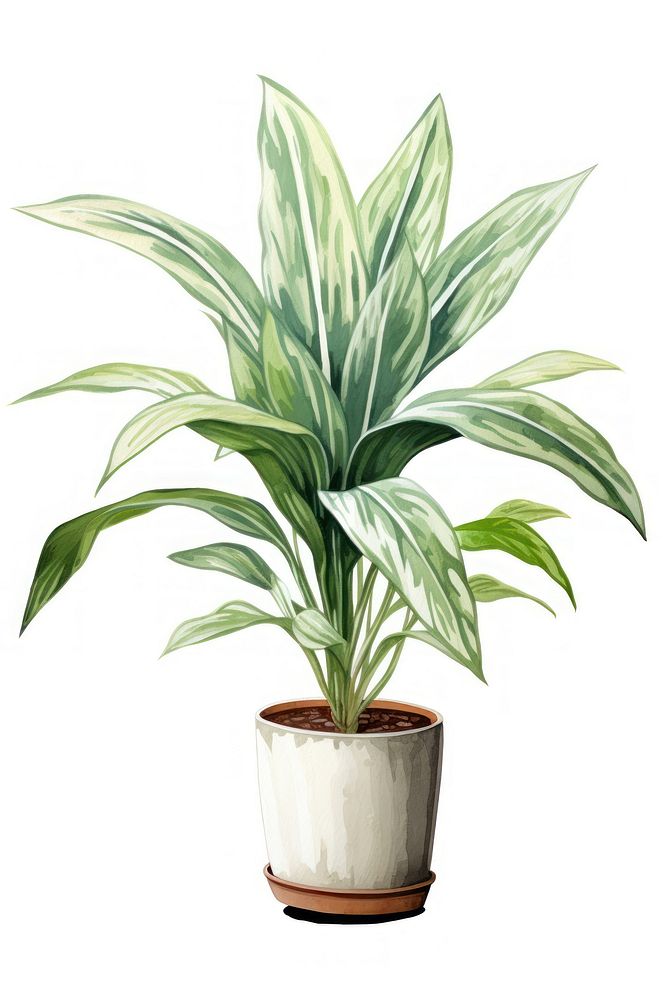 Indoor plant leaf houseplant freshness. AI generated Image by rawpixel.