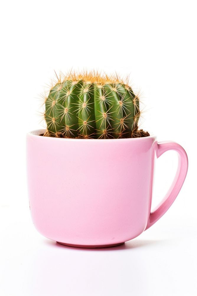 Cactus plant cup mug. AI generated Image by rawpixel.