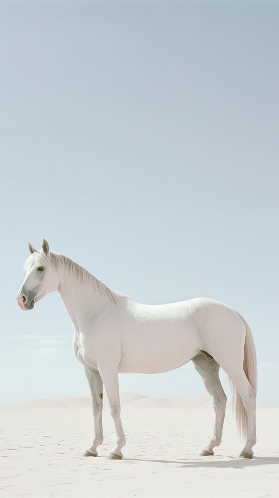 Horse stallion animal mammal. AI generated Image by rawpixel.