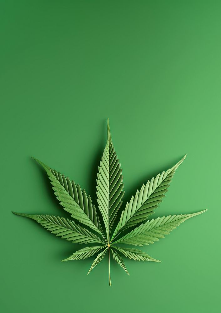 Cannabis leaf plant green medicine. AI generated Image by rawpixel.