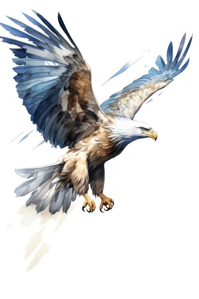 Eagle drawing animal flying. AI generated Image by rawpixel.