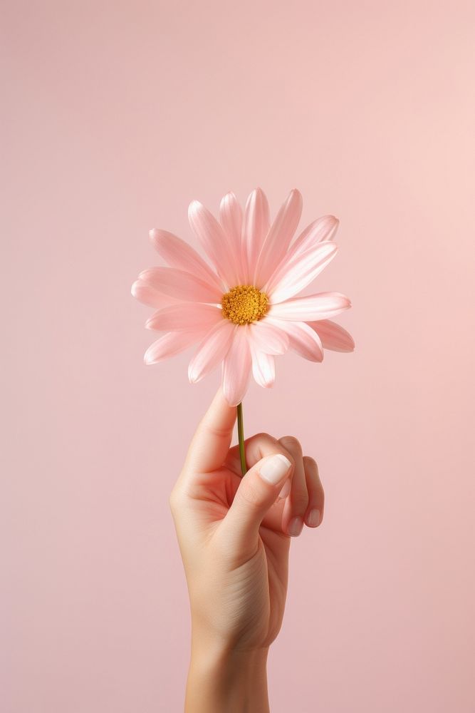 Hand holding flower. AI generated Image by rawpixel.