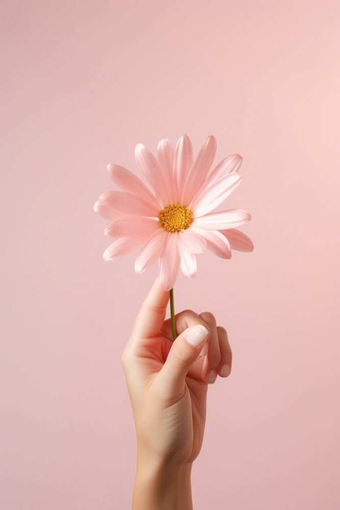 Hand holding flower. 