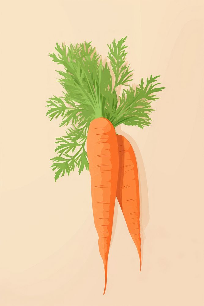 Carrots food vegetable plant. 