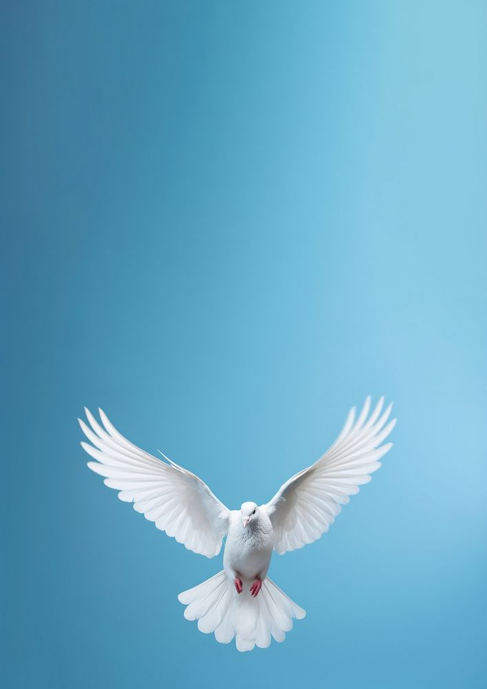Three young kids animal white bird. AI generated Image by rawpixel.